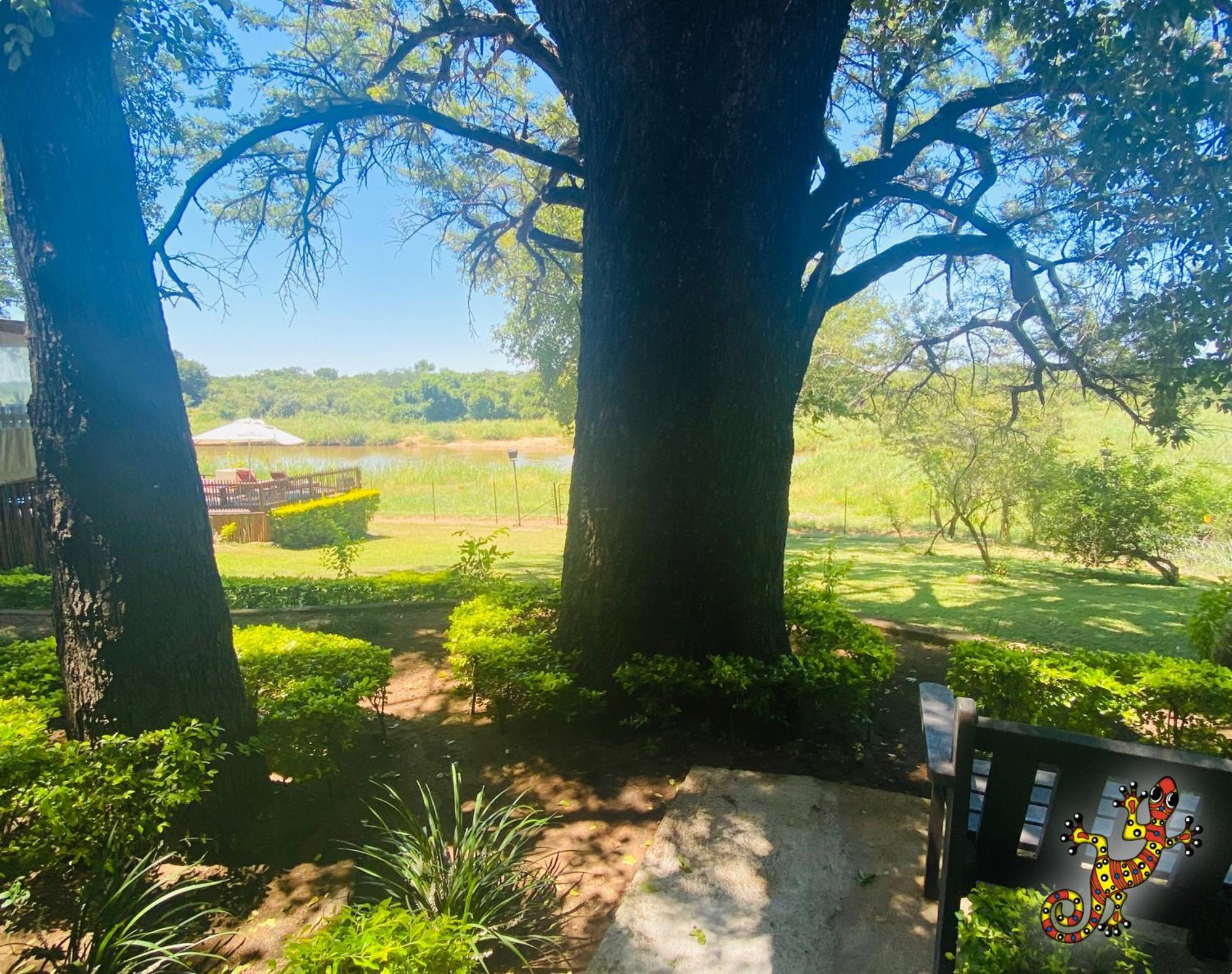 Sabie River Bush Lodge Hazyview Eksteriør bilde